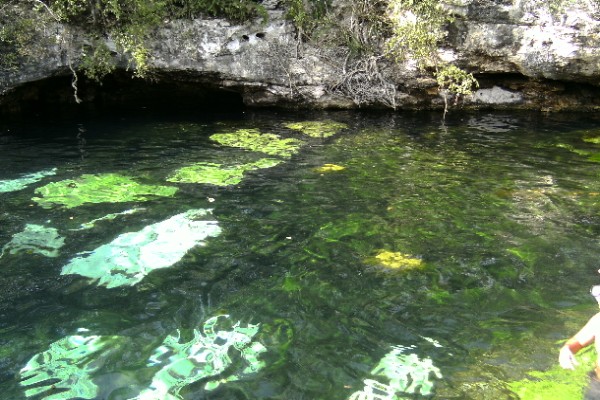 Cenote Azul-2