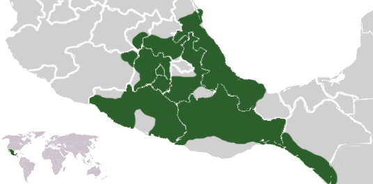 Territoires Aztèques